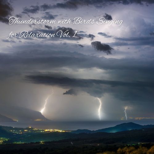 Thunderstorm with Birds Singing for Relaxation Vol. 1_poster_image