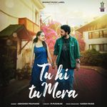 Tu Hi Tu Mera