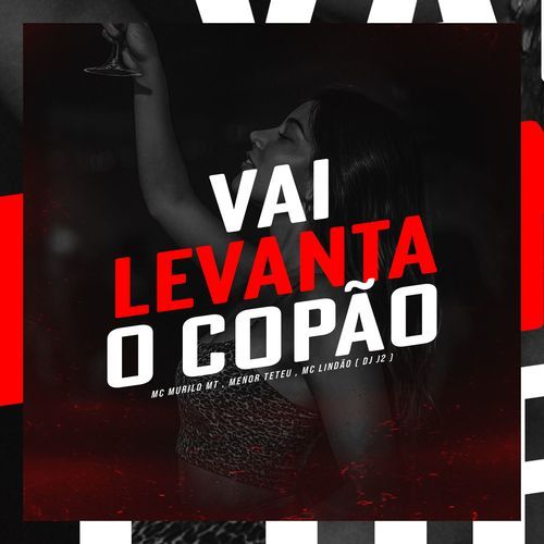 VAI LEVANTA O COPÃO cover art