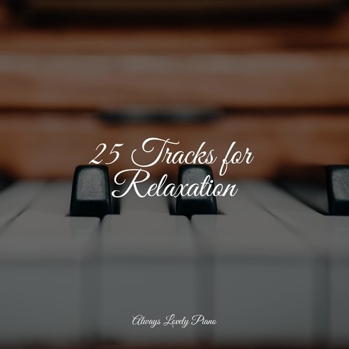 25 Tracks for Relaxation