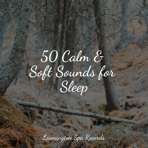 Meditating Music cover art