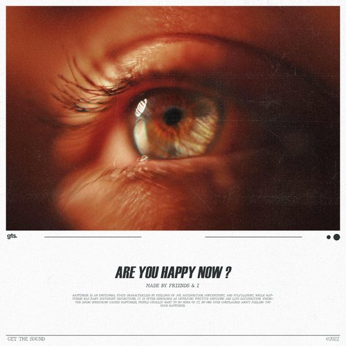 Are You Happy Now_poster_image