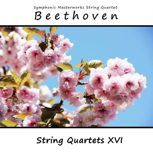 Symphonic Masterworks String Quartet