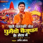 Chale Patarki Tora Ghumaibau Baijudham Ke Mela Ge