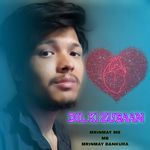 DIL KI ZUBAAN