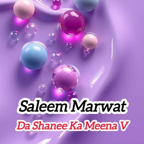 Da Shanee Ka Meena V