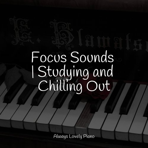 Focus Sounds | Studying and Chilling Out