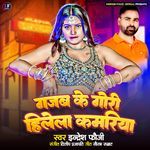 Gajab Ke Gori Hilela Kamariya