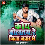 Koi Boltai Re Jila Jawar Mein