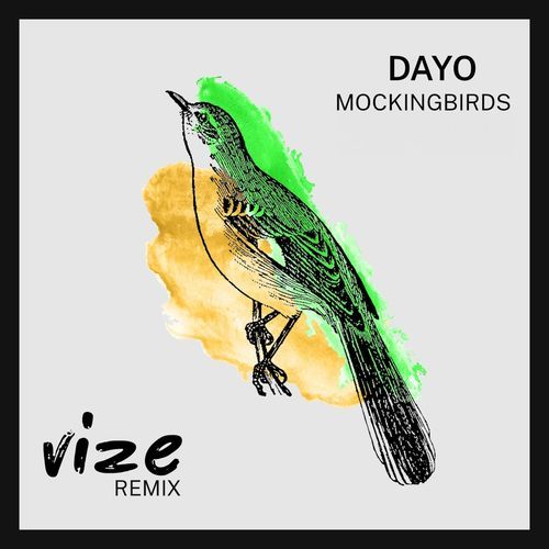 Mockingbirds (VIZE Remix)