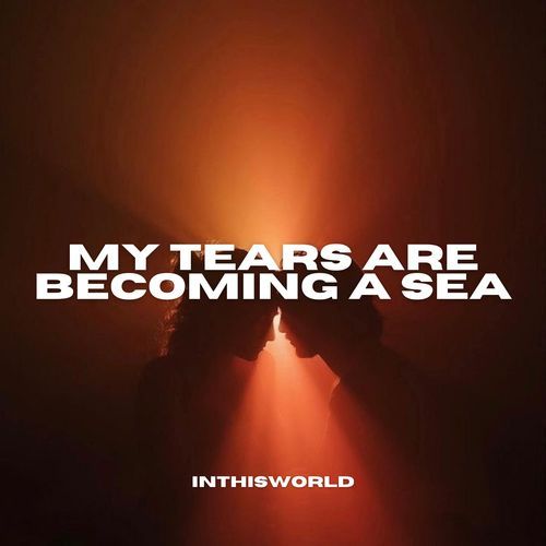 My Tears Are Becoming A Sea (DnB) cover art