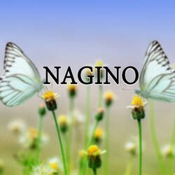 NAGINO-JgY8dQUBRnc