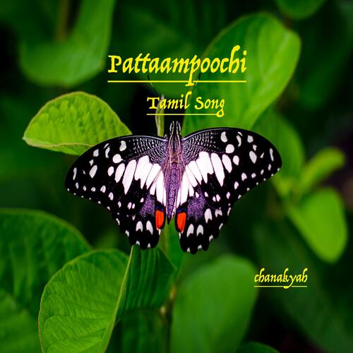 Pattaampoochi  Tamil Song