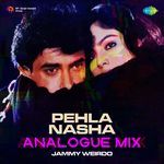 Pehla Nasha - Analogue Mix
