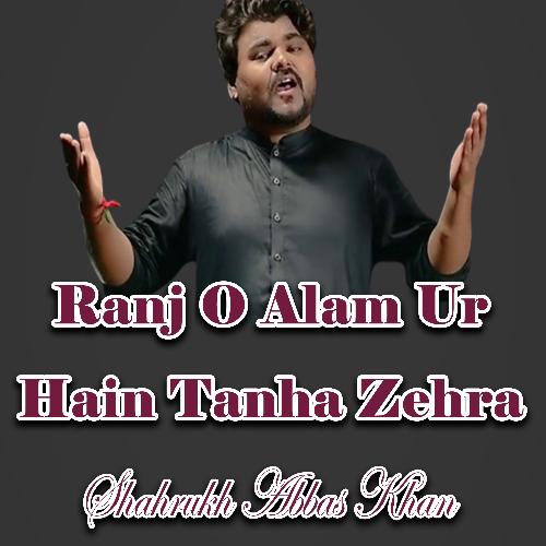 Ranj O Alam Ur Hain Tanha Zehra