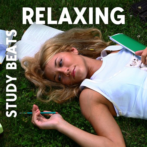 Relaxing Study Beats: Ace Your Exams