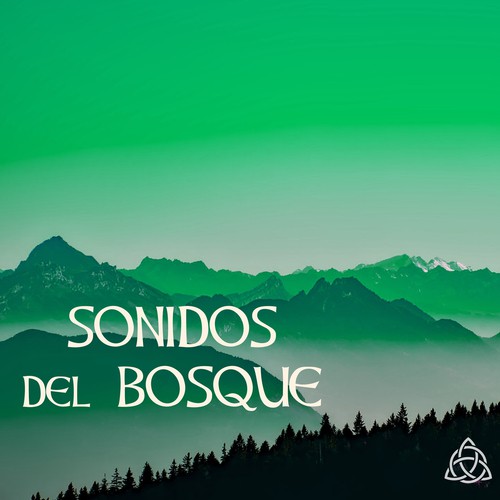 Sonidos Del Bosque Sonidos Naturales Relax Para Dormir Bien Y Ejercicios De Relajacion Songs 6625