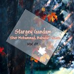 Stargey Gandam, Vol. 01