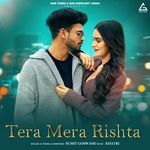 Tera Mera Rishta