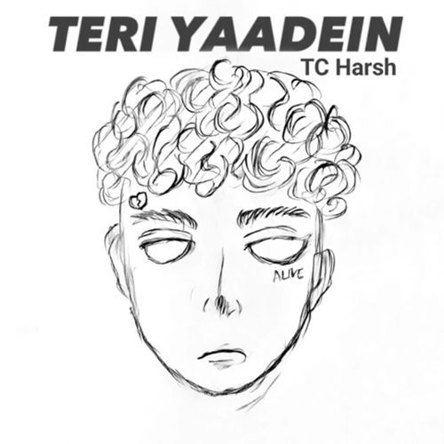 Teri Yaadein