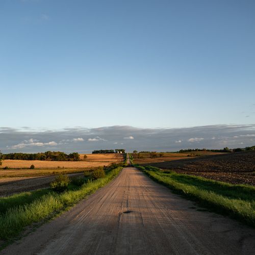 Terra Firma