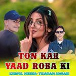Ton Kar Yaad Roba Ki