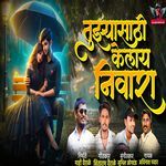 Tujhyasathi Kelay Nivara