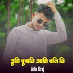 Tumi Bujhoni Ami Bolini