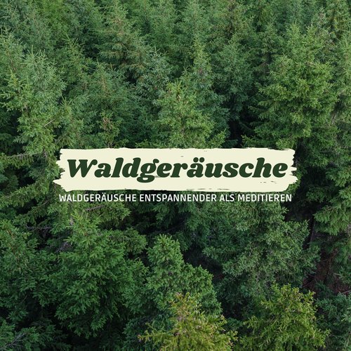 Naturgeräusche Meditationsmusik cover art