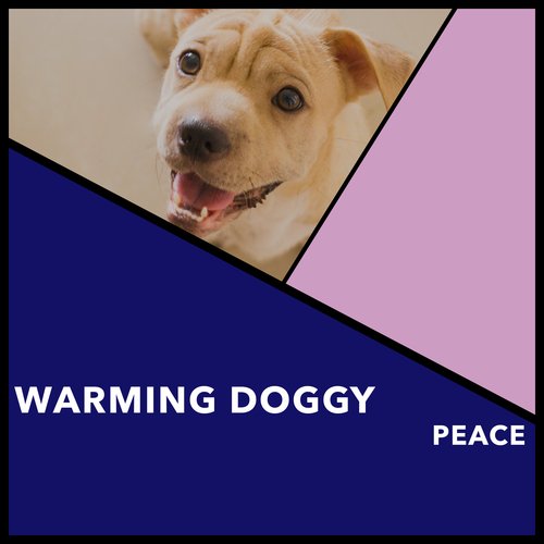 Zen Dog Zone Music cover art
