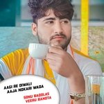 aagi re diwali aaja nokari wada (Diwali Meena Geet)