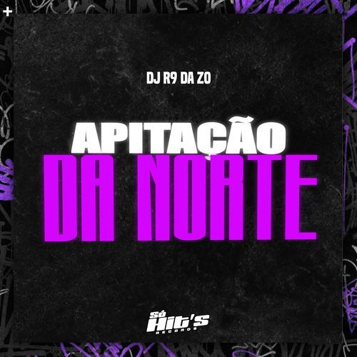 Apitação da Norte_poster_image