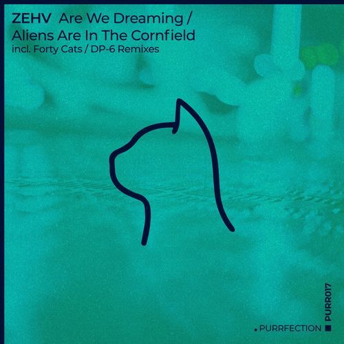 Are We Dreaming (Forty Cats Remix)