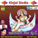 Brahmanimani Amar Chundadi