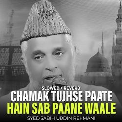 Chamak Tujhse Paate hain Sab Paane Waale (Lofi-Mix)-Rg0YATF9fXc