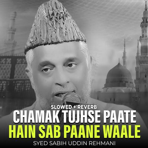 Chamak Tujhse Paate hain Sab Paane Waale (Lofi-Mix)