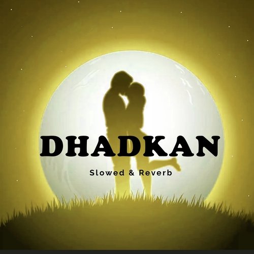 DHADKAN (Slowed & Reverb)