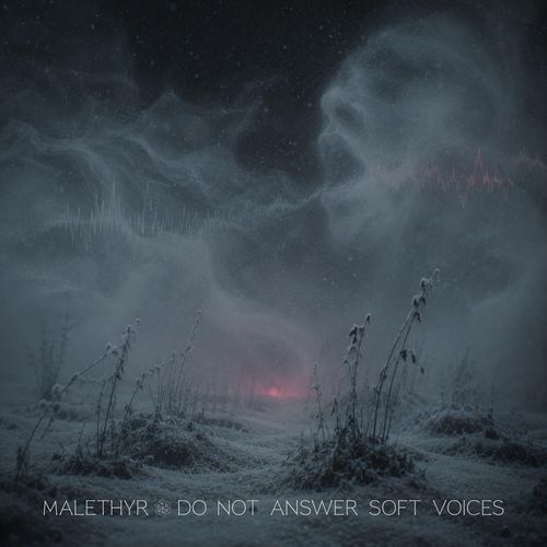 Do Not Answer Soft Voices