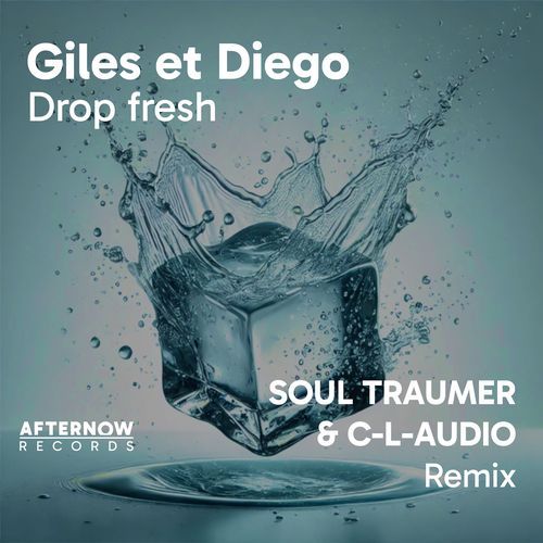Drop fresh (SOUL TRAUMER  & C-L-AUDIO Remix)