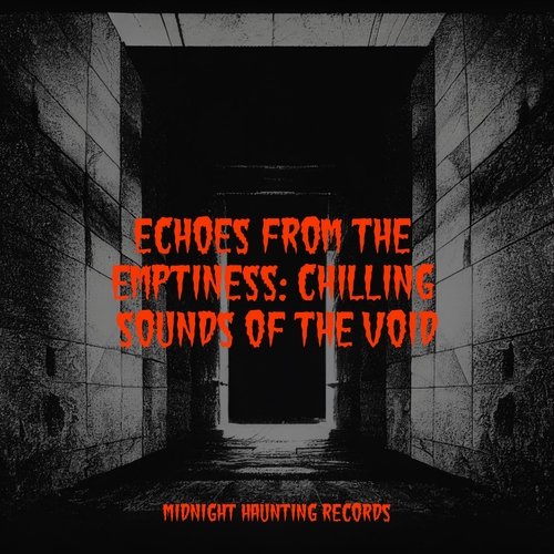 Echoes from the Emptiness: Chilling Sounds of the Void_poster_image