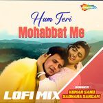Hum Teri Mohabbat Me Lofi Mix