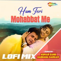 Hum Teri Mohabbat Me Lofi Mix