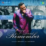 I Don't Remember artwork
