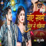 Ja Ye Sanam Dil Sukriya