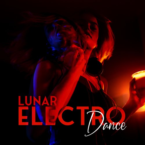 Erotic Zone of Sexual Chillout cover art