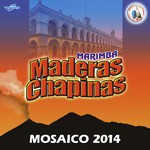 Mosaico 2014: A Bailar Chapines / Alegrías de Sumpango / Así Te Soñe / Costa Alegre / Campiña de Mi Pueblo / Flores Costa Cuca / San Antonio Aguas Calientes / San Andres Itzapa