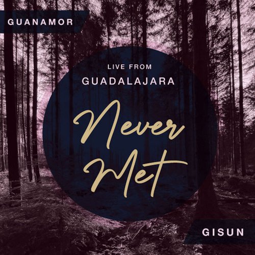 Never Met (Live) cover art