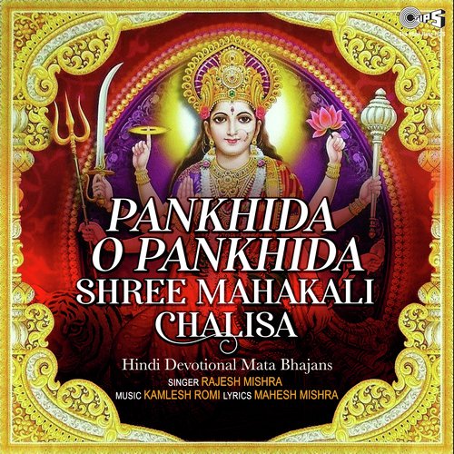 Pankhida O Pankhida Shree Mahakali Chalisa