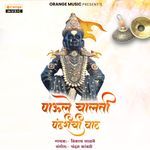 Paule Chalati Pandharichi Vaat