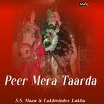 Peer Mere Taarda